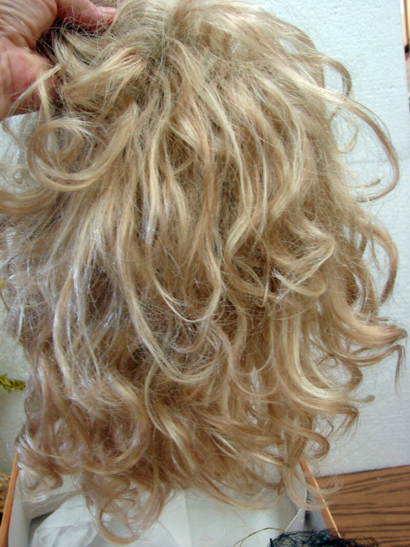 Jon Renau Flexlite Champagne Blonde Soft Subtle Wig Like New in Box/Tags, Moose-R-Us.Com Log Cabin Decor