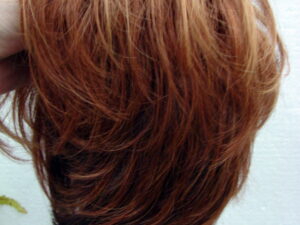 Paula Young Debut Avg Red Tone Wig Like New w/ Box