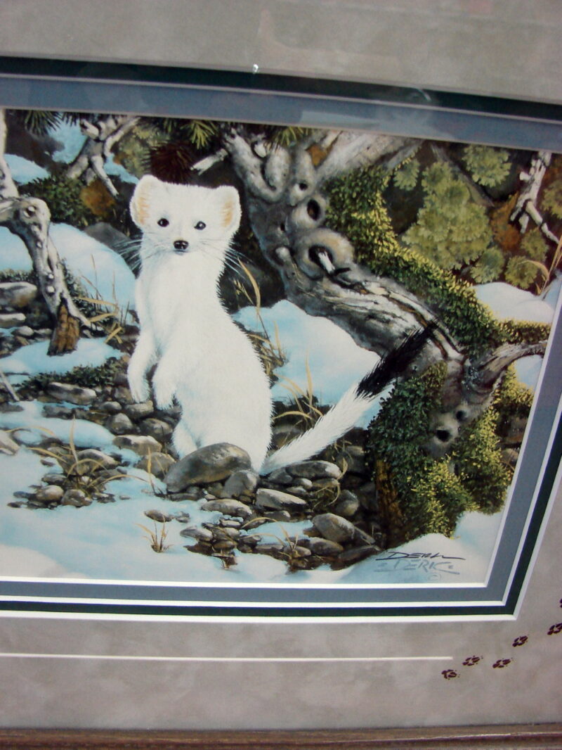Derk Hansen Oak Framed Matted Eyes of the Wild Winter Wolf Weasel Double Print, Moose-R-Us.Com Log Cabin Decor
