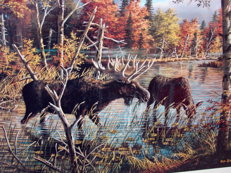 Ken Zylla Artwork Superior National Forest Moose Signed Numbered 443/2800, Moose-R-Us.Com Log Cabin Decor