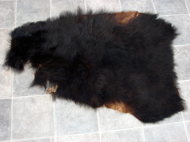 Vintage Real Black Bear Taxidermy Hide Pelt Fur Craft 46 x 32&#8243;, Moose-R-Us.Com Log Cabin Decor