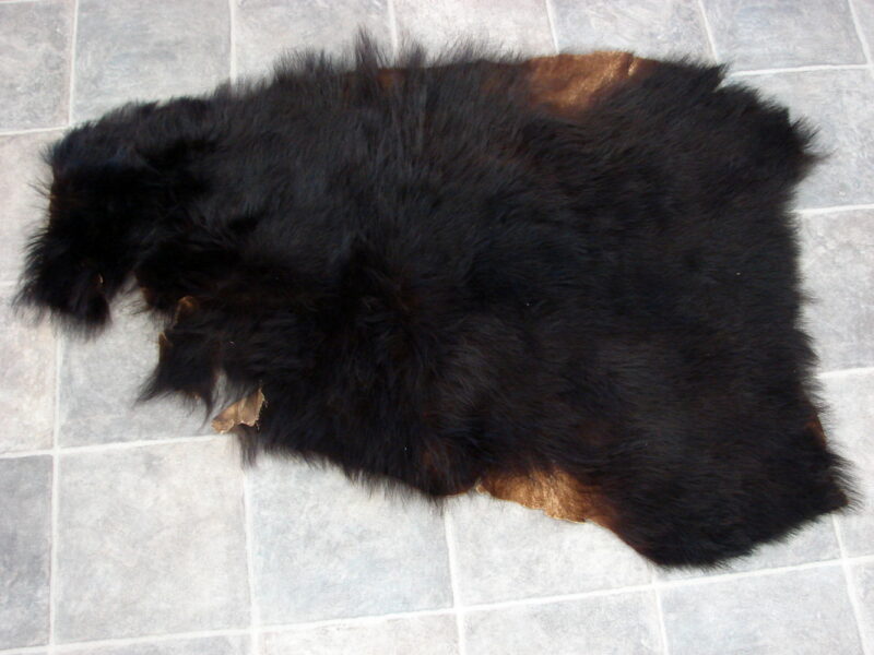 Vintage Real Black Bear Taxidermy Hide Pelt Fur Craft 46 x 32"