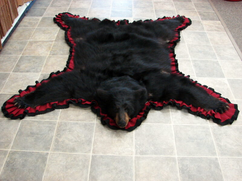 Real Black Bear Rug Taxidermy Hide Pelt Fur Cranberry Red Black Felt Closed Mouth, Moose-R-Us.Com Log Cabin Decor