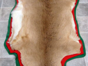 Large White Tail Deer Taxidermy Tanned Fur on Hide Pelt Prime Strip