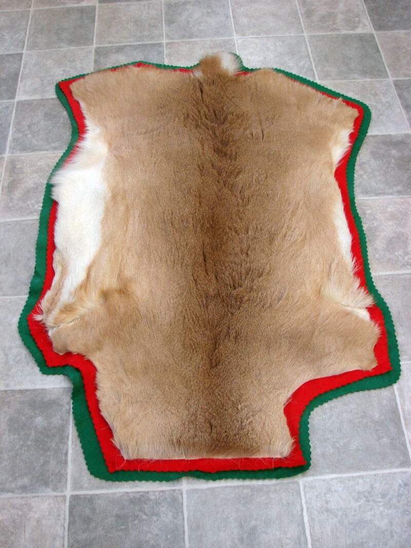 Large White Tail Deer Taxidermy Tanned Fur on Hide Pelt Prime Strip, Moose-R-Us.Com Log Cabin Decor