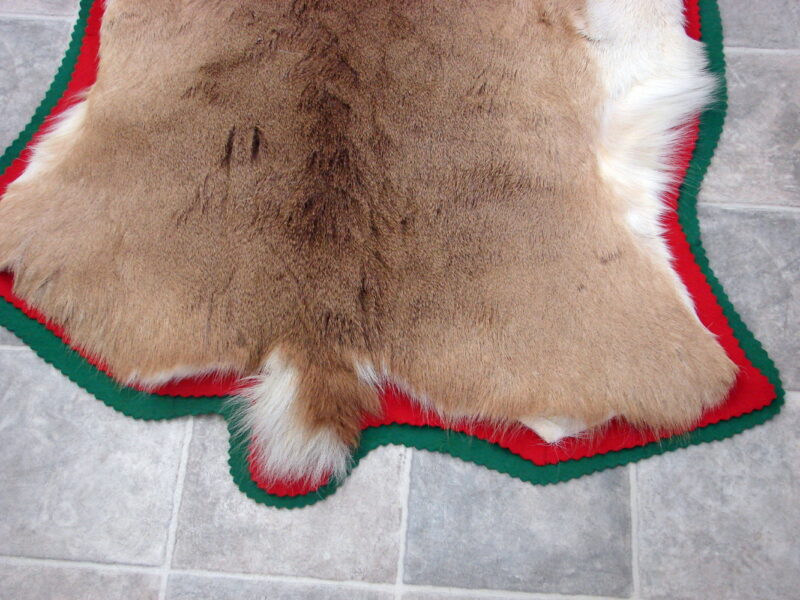 Large White Tail Deer Taxidermy Tanned Fur on Hide Pelt Prime Strip, Moose-R-Us.Com Log Cabin Decor