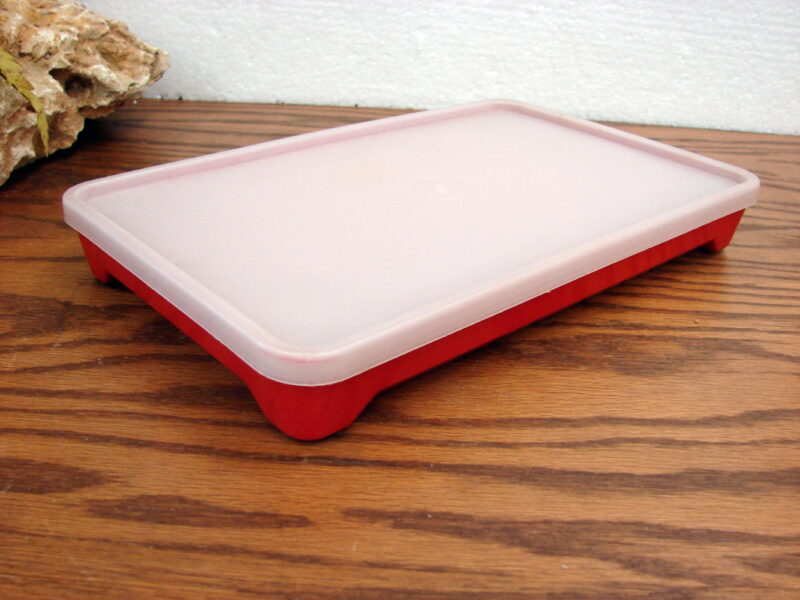 Vintage Tupperware #1292 Bacon Lunch Meat Deli Keeper Marinade, Moose-R-Us.Com Antiques Collectibles Log Cabin Decor