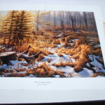 NOS Print Greg Alexander Clearcut Opportunity Ruffed Grouse