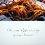 NOS Print Greg Alexander Clearcut Opportunity Ruffed Grouse - Image 4