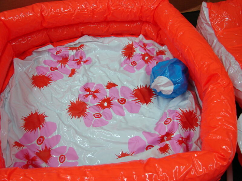 Vintage 1970&#8217;s Malibu Barbie Inflatable Swimming Pool Accessories, Moose-R-Us.Com Antiques Collectibles Log Cabin Decor