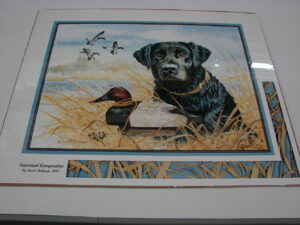 NOS Print David Bollman Seasoned Companion Black Lab Canvas Back Duck Decoy