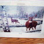 NOS Print Trevor Eckhoff Artwork Last Look Whitetail Deer 1996 MN Deer Hunters Association