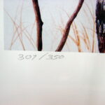 NOS Print Trevor Eckhoff Artwork Last Look Whitetail Deer 1996 MN Deer Hunters Association - Image 3