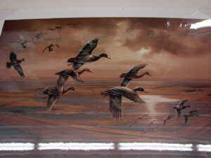 NOS Print John Green Swinging In IV Mallards Over Columbia Marsh