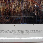 NOS Print Stephen P Hamrick Running the Treeline Whitetail Deer Artist Proof - Image 3