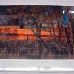 NOS Print Jim Hansel Return to Refuge Wood Duck Ducks Unlimited Sponsor 2000
