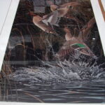 NOS Print JB Williams Wet and Wild Conservation Proof 26/30 Green Wing Teal