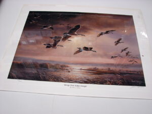 NOS Print John C. Green Wings over Kelly's Slough Canada Geese Sunset Sunrise
