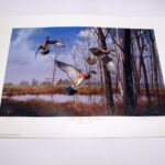 NOS Print David Maas Home Again Wood Duck TIP Numbered