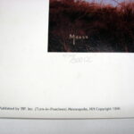 NOS Print David Maas Home Again Wood Duck TIP Numbered - Image 2
