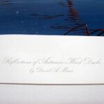 NOS Print David Maas Reflections of Autumn Wood Ducks 10/1500 - Image 4