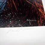 NOS Print David Maas Reflections of Autumn Wood Ducks 10/1500 - Image 3