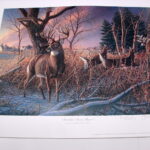 NOS Print James Meger Bud Grant Whitetail Deer Shoulda Been There