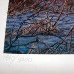 NOS Print James Meger Bud Grant Whitetail Deer Shoulda Been There - Image 2