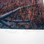 NOS Print James Meger Bud Grant Whitetail Deer Shoulda Been There - Image 4