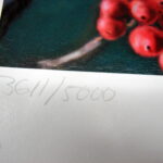 NOS Print James Meger Ready to Rise Ruffed Grouse Winter Sumac - Image 2