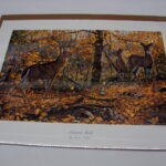 NOS Print Set/2 Bruce Miller Autumn Rendezvous and Autumn Gold Whitetail Deer