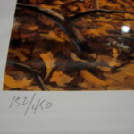 NOS Print Set/2 Bruce Miller Autumn Rendezvous and Autumn Gold Whitetail Deer - Image 3
