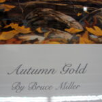 NOS Print Set/2 Bruce Miller Autumn Rendezvous and Autumn Gold Whitetail Deer - Image 6