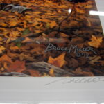 NOS Print Set/2 Bruce Miller Autumn Rendezvous and Autumn Gold Whitetail Deer - Image 5