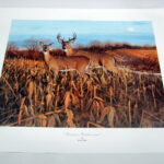NOS Print Set/2 Bruce Miller Autumn Rendezvous and Autumn Gold Whitetail Deer - Image 2