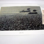 NOS Print John Seerey-Lester Sudden Rain Loons on A Lake Black/White