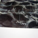 NOS Print John Seerey-Lester Sudden Rain Loons on A Lake Black/White - Image 4