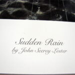 NOS Print John Seerey-Lester Sudden Rain Loons on A Lake Black/White - Image 3