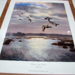 NOS Print Scot Storm Rippin' the Dawn Bluebill & Canvas Back Ducks