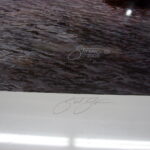 NOS Print Scot Storm Rippin' the Dawn Bluebill & Canvas Back Ducks - Image 4