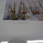 NOS Print Ron Van Gilder The Haven Ducks Unlimited 1999 Ducks Geese Deer - Image 2