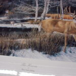 NOS Print Ron Van Gilder The Haven Ducks Unlimited 1999 Ducks Geese Deer - Image 4