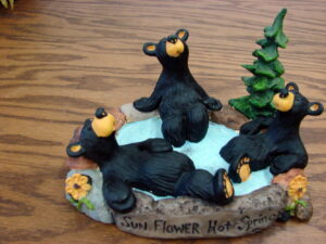 Retired Big Sky Carvers Bearfoots Bears Jeff Fleming Sun Flower Hot Springs