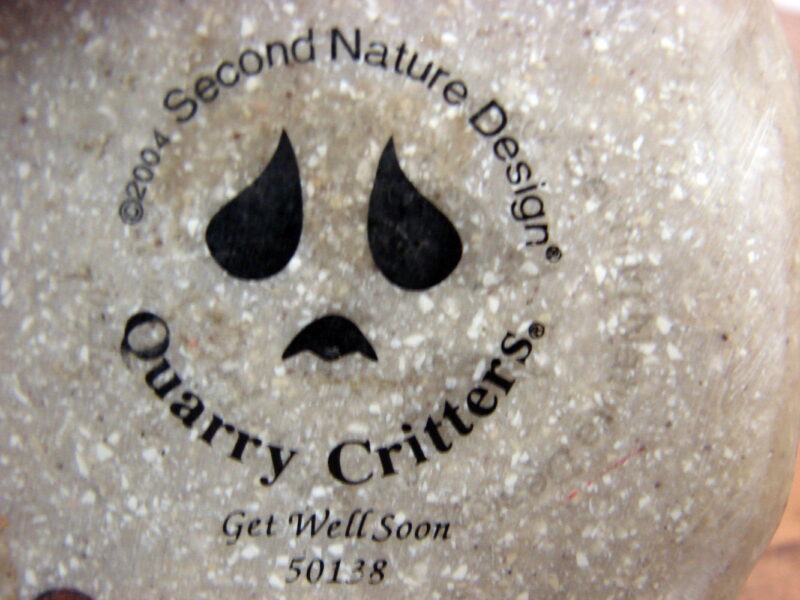 Retired Second Nature Design Quarry Critters Puppy Dog Get Well Soon 2004, Moose-R-Us.Com Log Cabin Decor