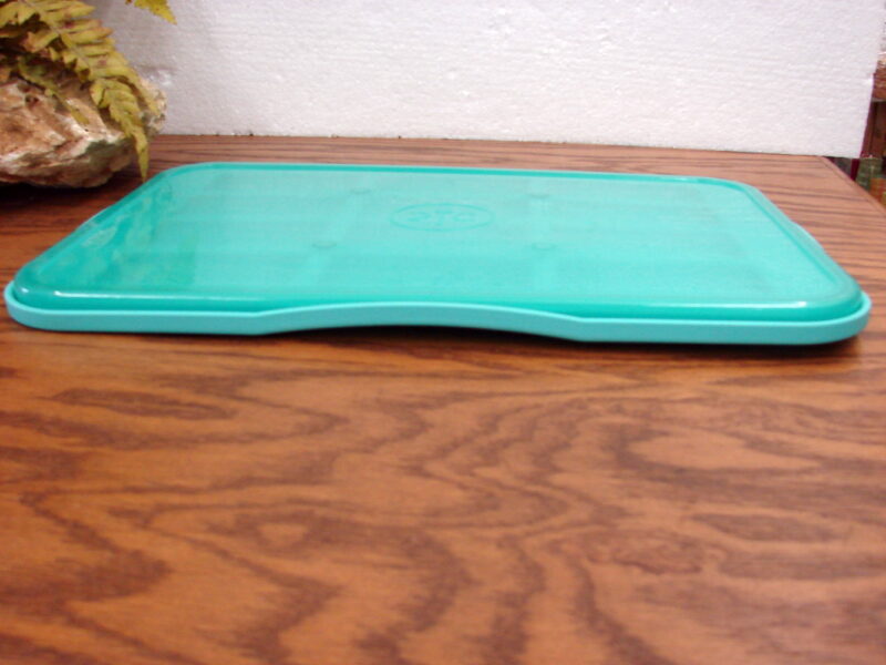 The Pampered Chef Teal Blue Silicone Snack Bar Mold Tray #100000, Moose-R-Us.Com Log Cabin Decor