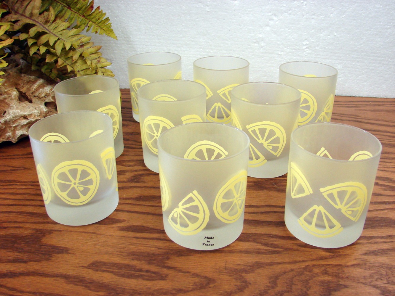 France Dartington Designs Satin Glass Lowball Lemon Slices Set/9