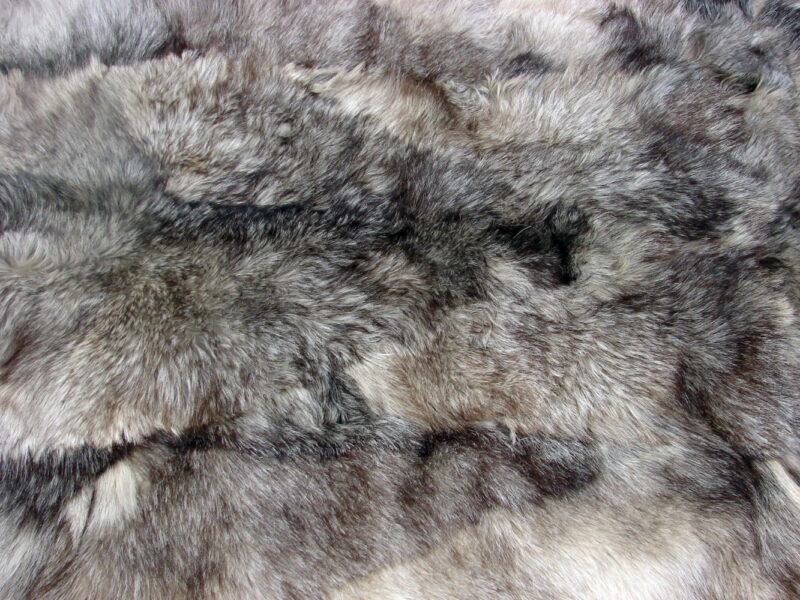 Pelt Throwing Real Taxidermy Tanned Coyote Wolf Pelt Throw Rug Blanket Thick Heavy ...