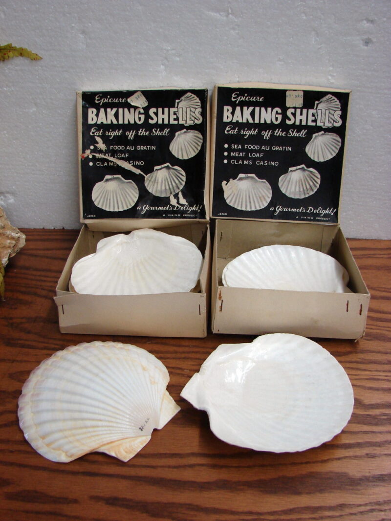 Set/8 Real Seashell Clam Shell Epicure Gourmet Japan Eat off Shell, Moose-R-Us.Com Antiques Collectibles Log Cabin Decor