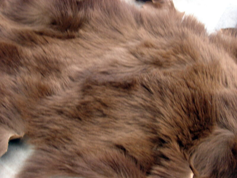 Vintage Real Black Bear Craft Fur Hide Cinnamon Phase Taxidermy Pelt, Moose-R-Us.Com Antiques Collectibles Log Cabin Decor