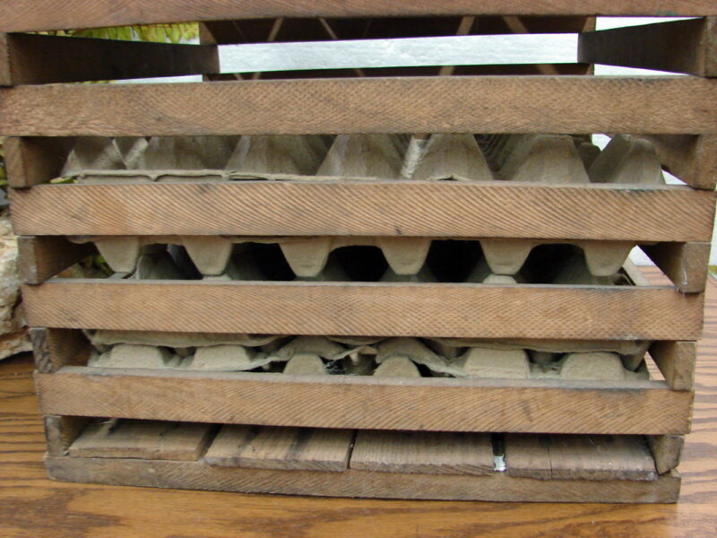 Antique Wood Slat Owosso MI Benton AR Egg Crate w/ Cardboard Dividers Lid - Image 2